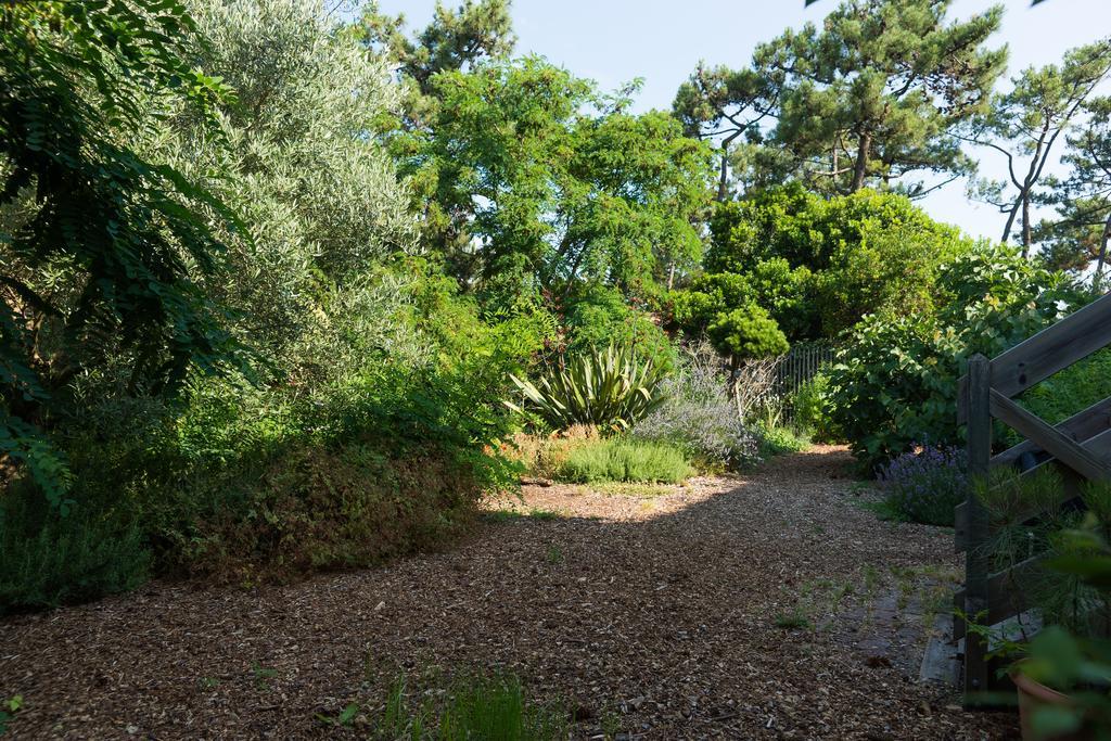 Le Lodge Du Cap Ferret Lège-Cap-Ferret エクステリア 写真