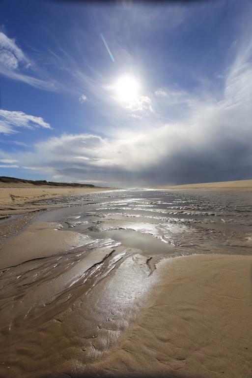 Le Lodge Du Cap Ferret Lège-Cap-Ferret エクステリア 写真