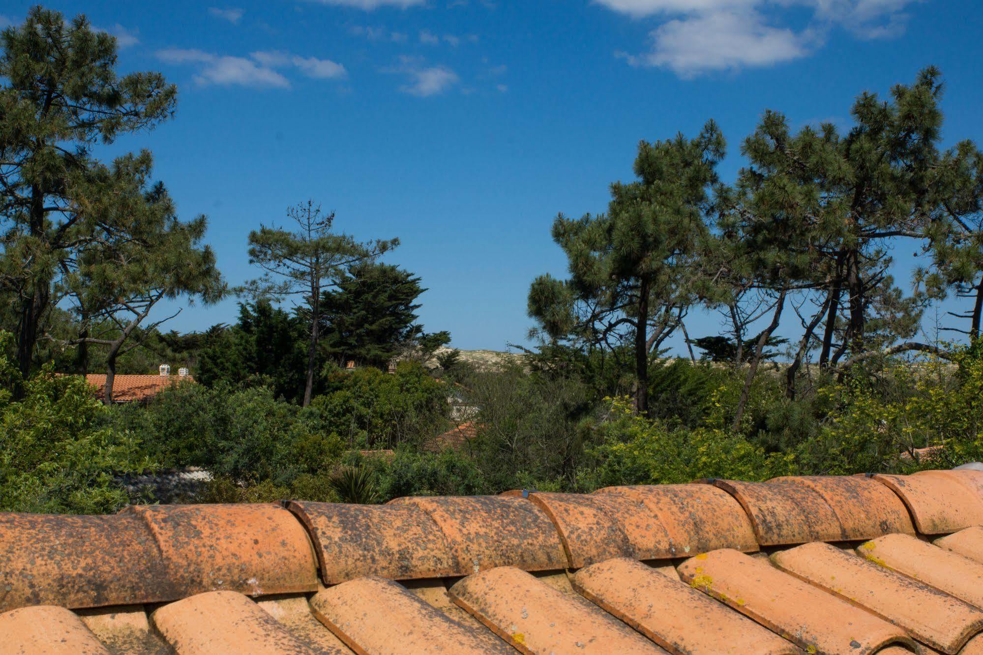 Le Lodge Du Cap Ferret Lège-Cap-Ferret エクステリア 写真