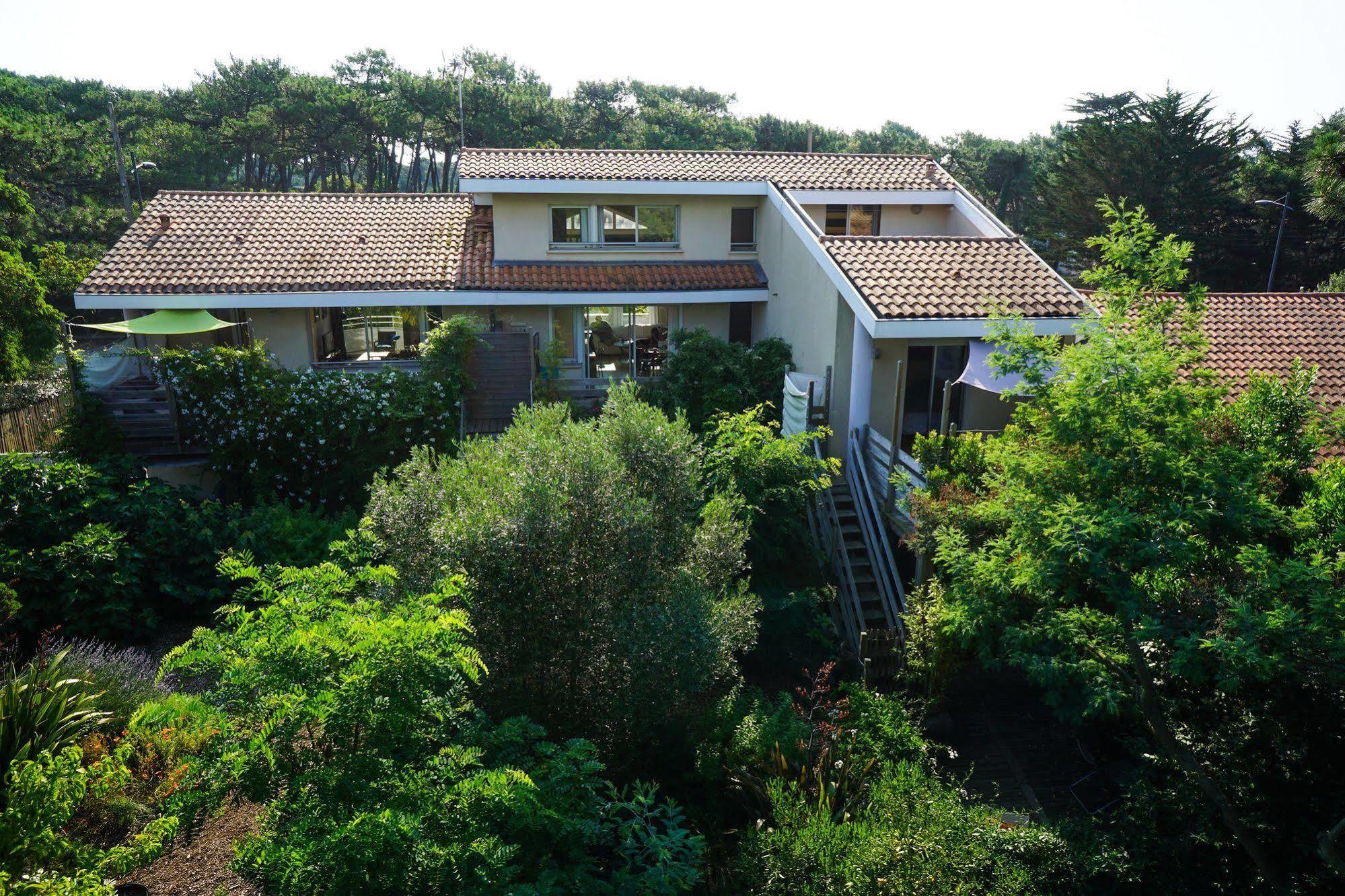 Le Lodge Du Cap Ferret Lège-Cap-Ferret エクステリア 写真